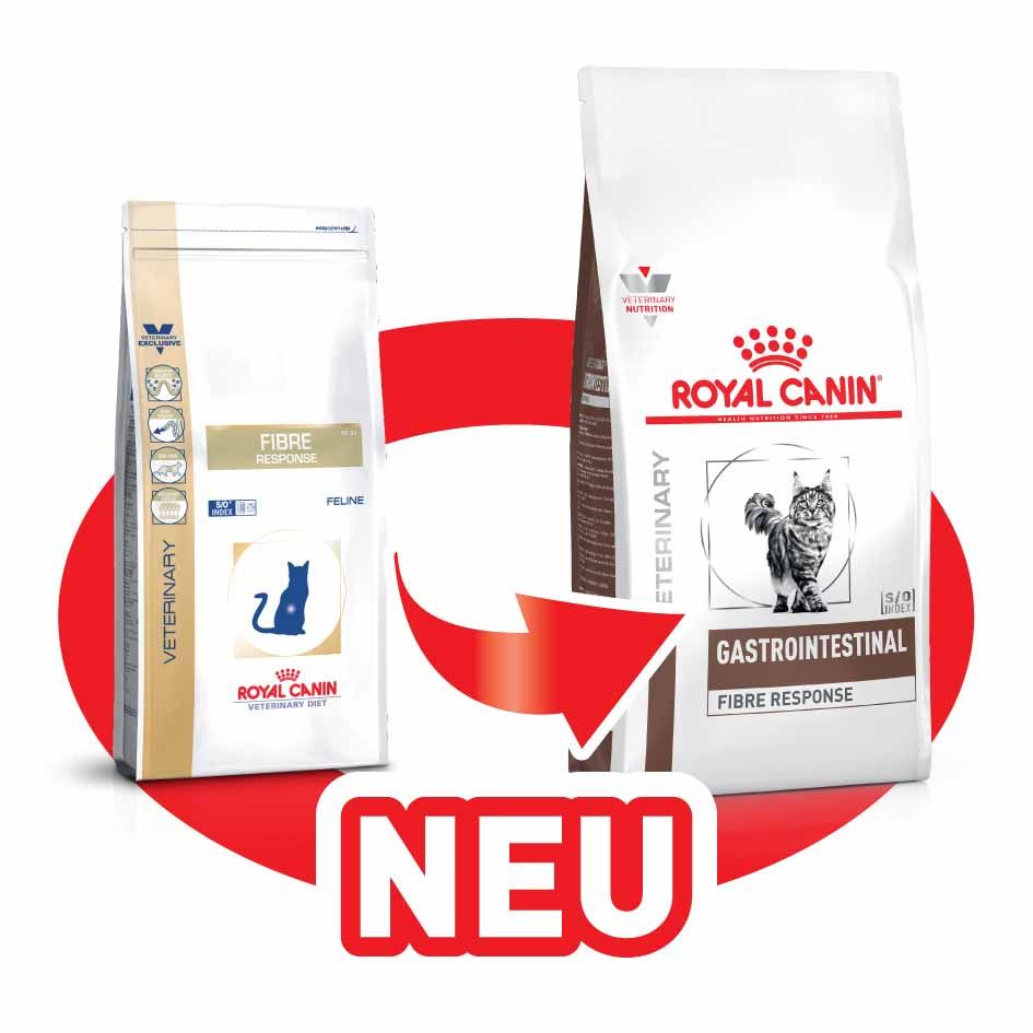 Royal Canin Gastrointestinal Fibre Response Katze | Tierarzt Dr. Hölter